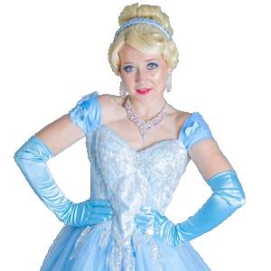 Cinderella Ballroom Blue
