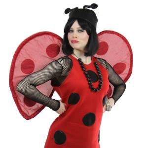 Lady Bug