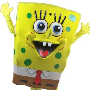 Mr Spongie